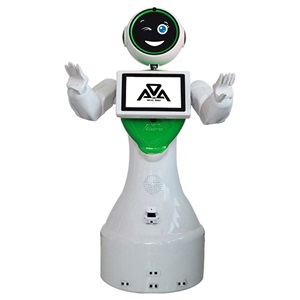 MİNİ ADA İNSANSI ROBOT