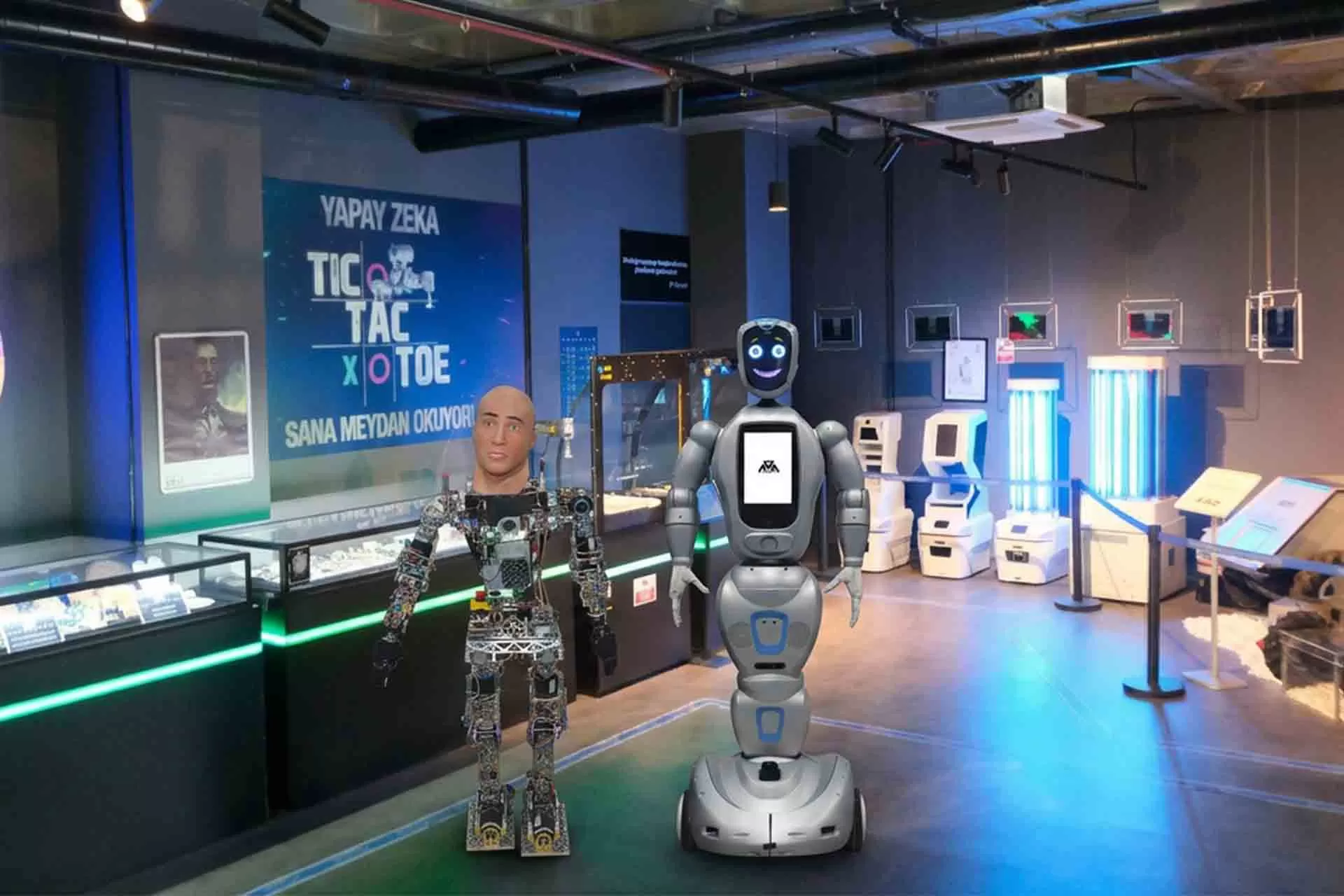 Differences Between Humanoid Robots and Social Robots