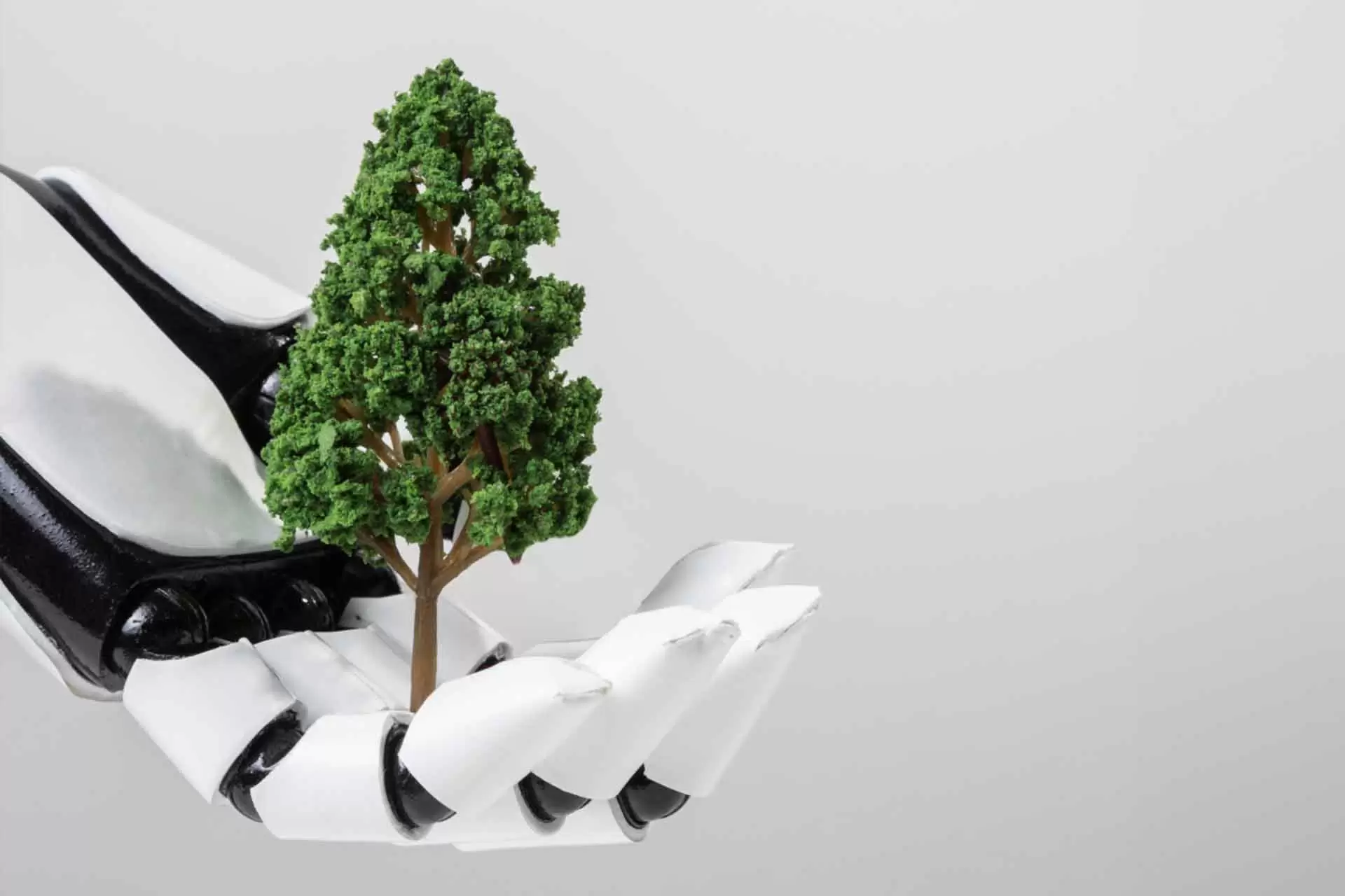 Impacts of Robotic Technologies on the Ecosystem